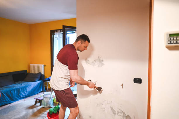 Best Attic Mold Removal  in Little Rock, AR